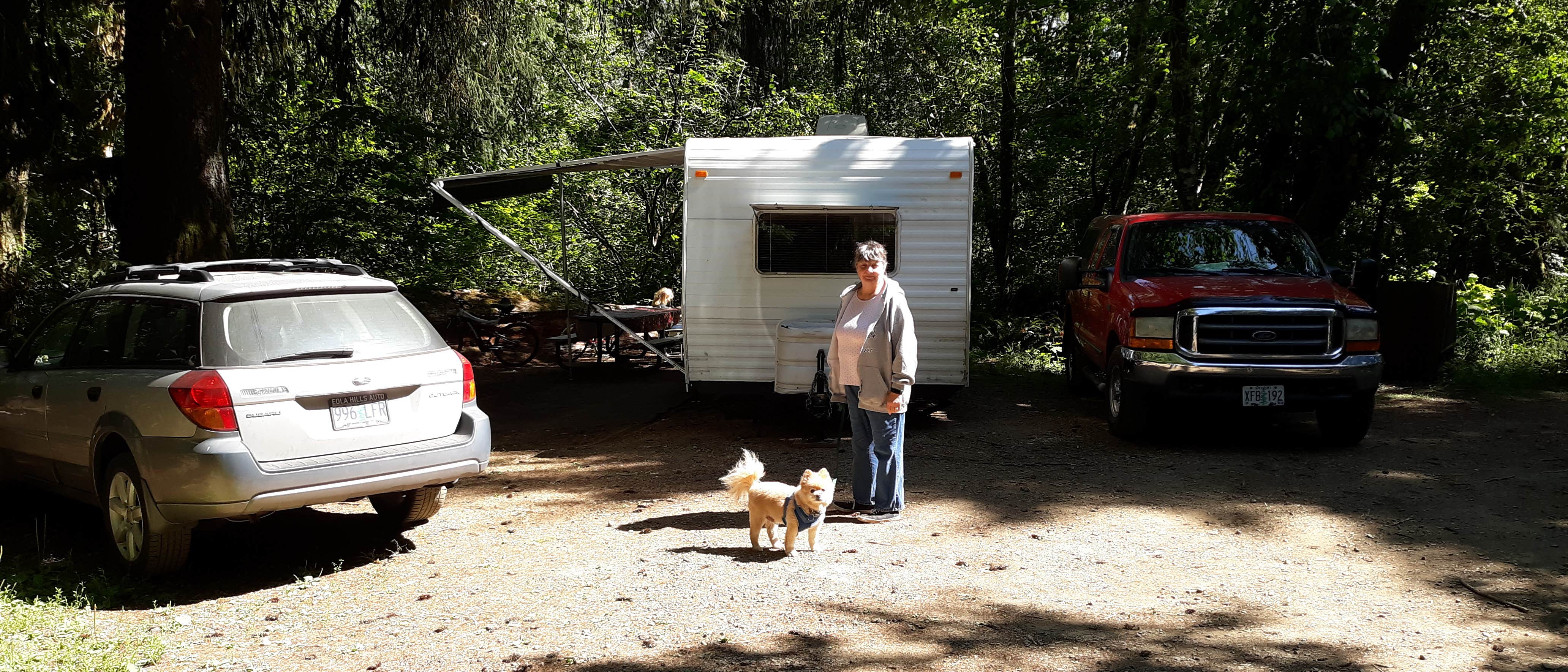 Robert D.'s photo at Big Buck Campground near McMinnville, OR
