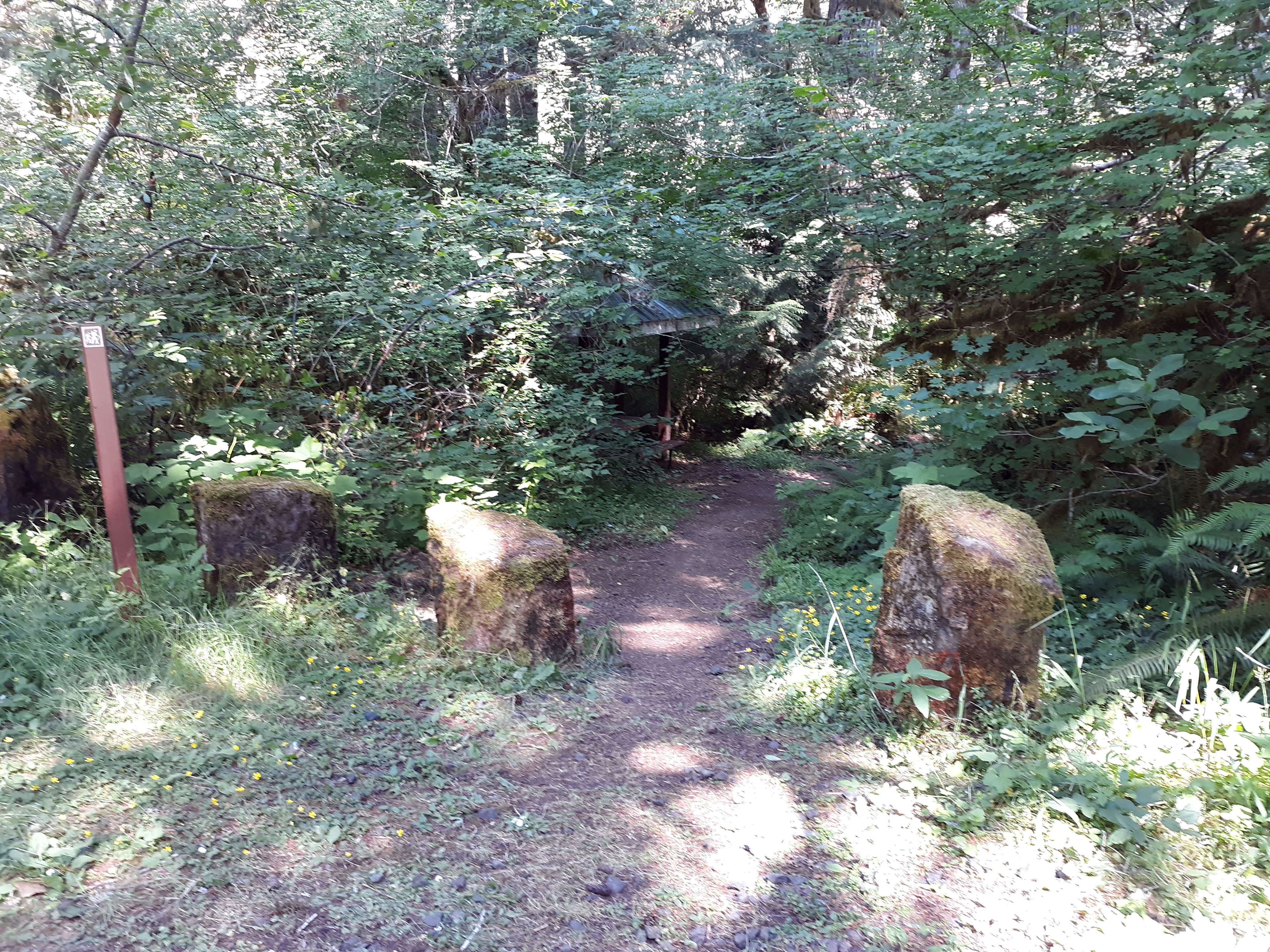 Camper-submitted photo at Big Buck Campground near Grand Ronde, OR