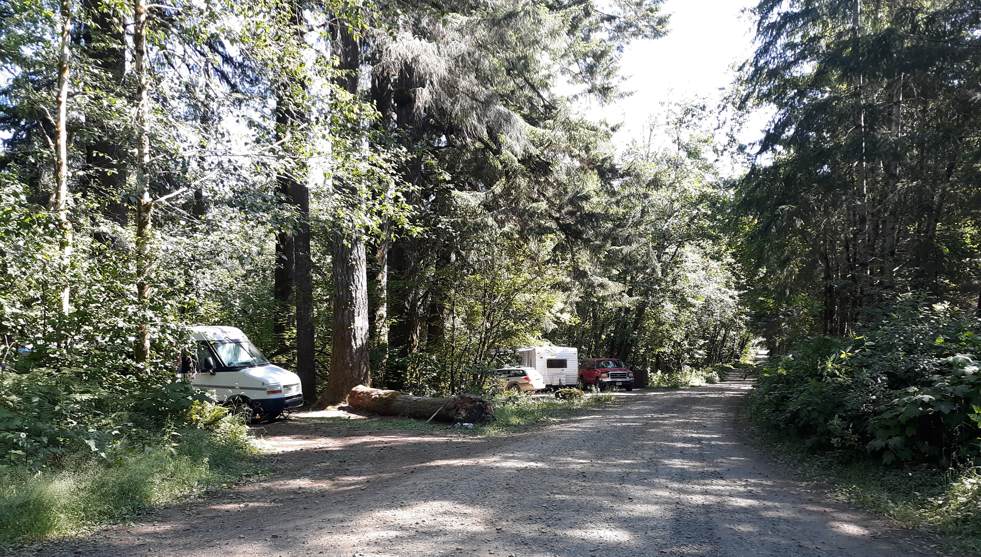 Camper submitted image from Big Buck Campground - 4