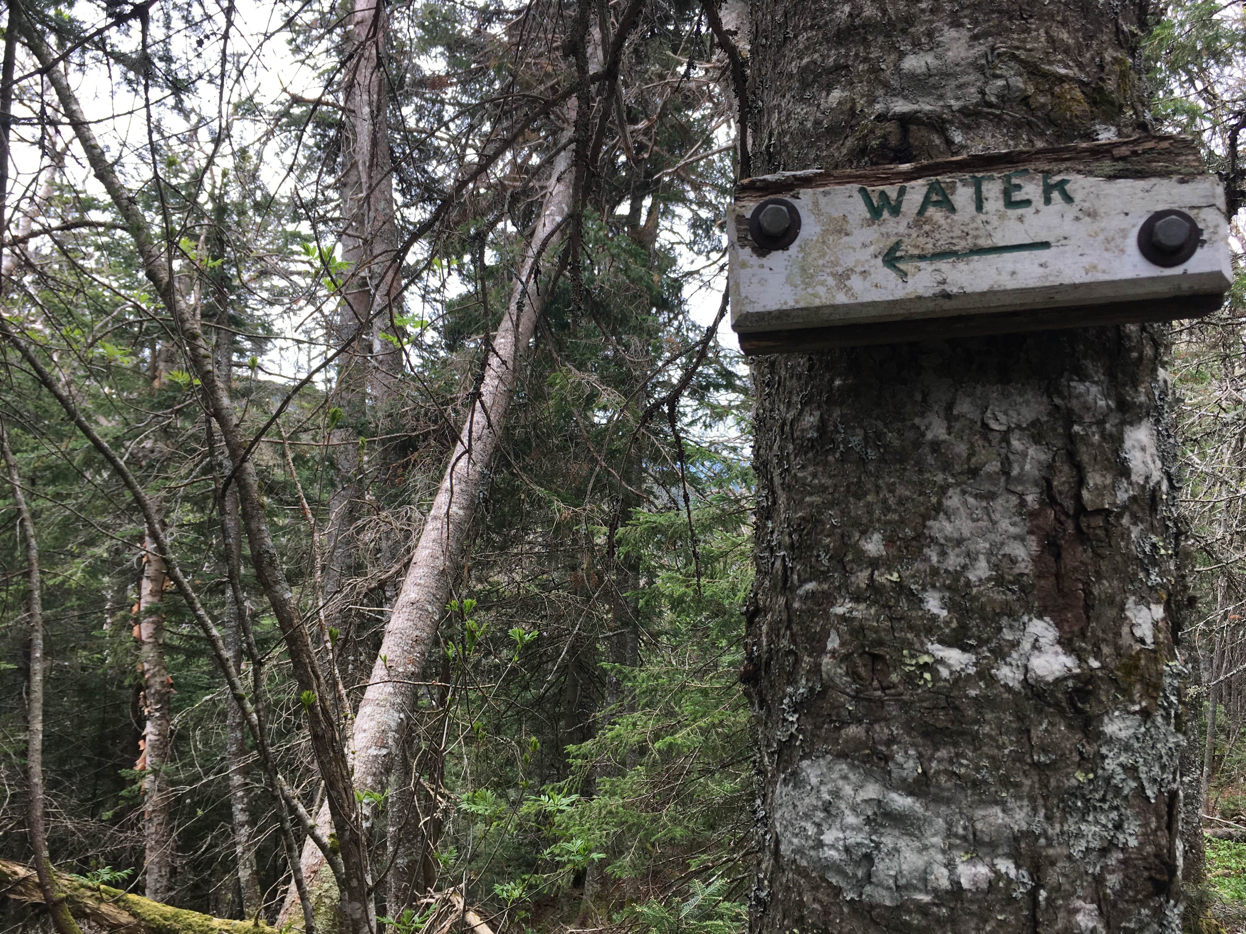 Camper-submitted photo at Carlo Col — Mahoosucs Ecological Reserve near Peru, ME