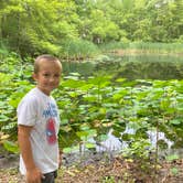 Review photo of Blue Heron Campground — Big South Fork National River and Recreation Area by Rebecca J., July 10, 2021