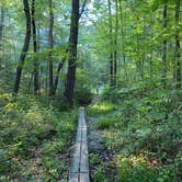 Review photo of Michaux State Forest by Nathan D. H., July 10, 2021