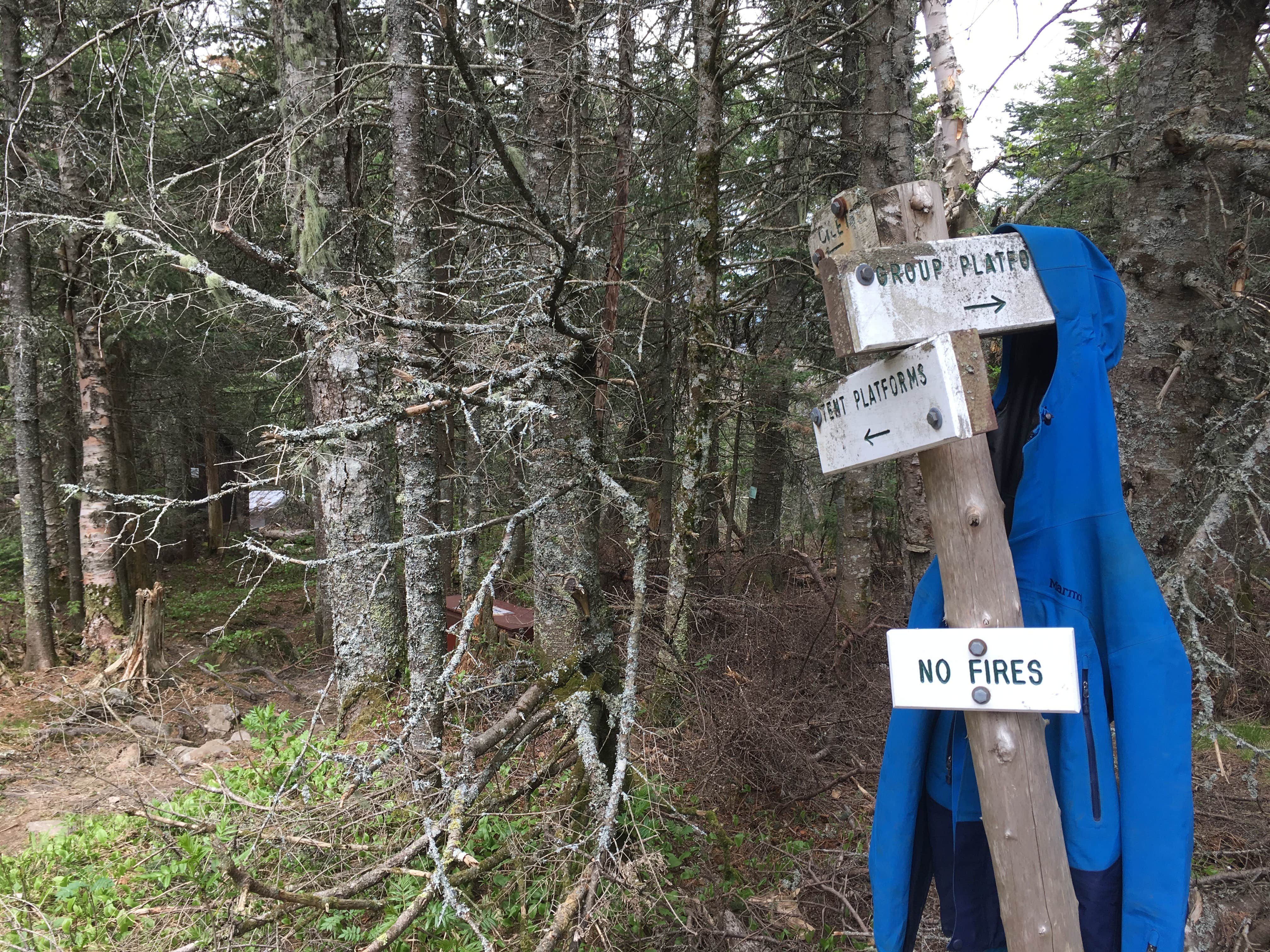 Camper-submitted photo at Carlo Col — Mahoosucs Ecological Reserve near Peru, ME