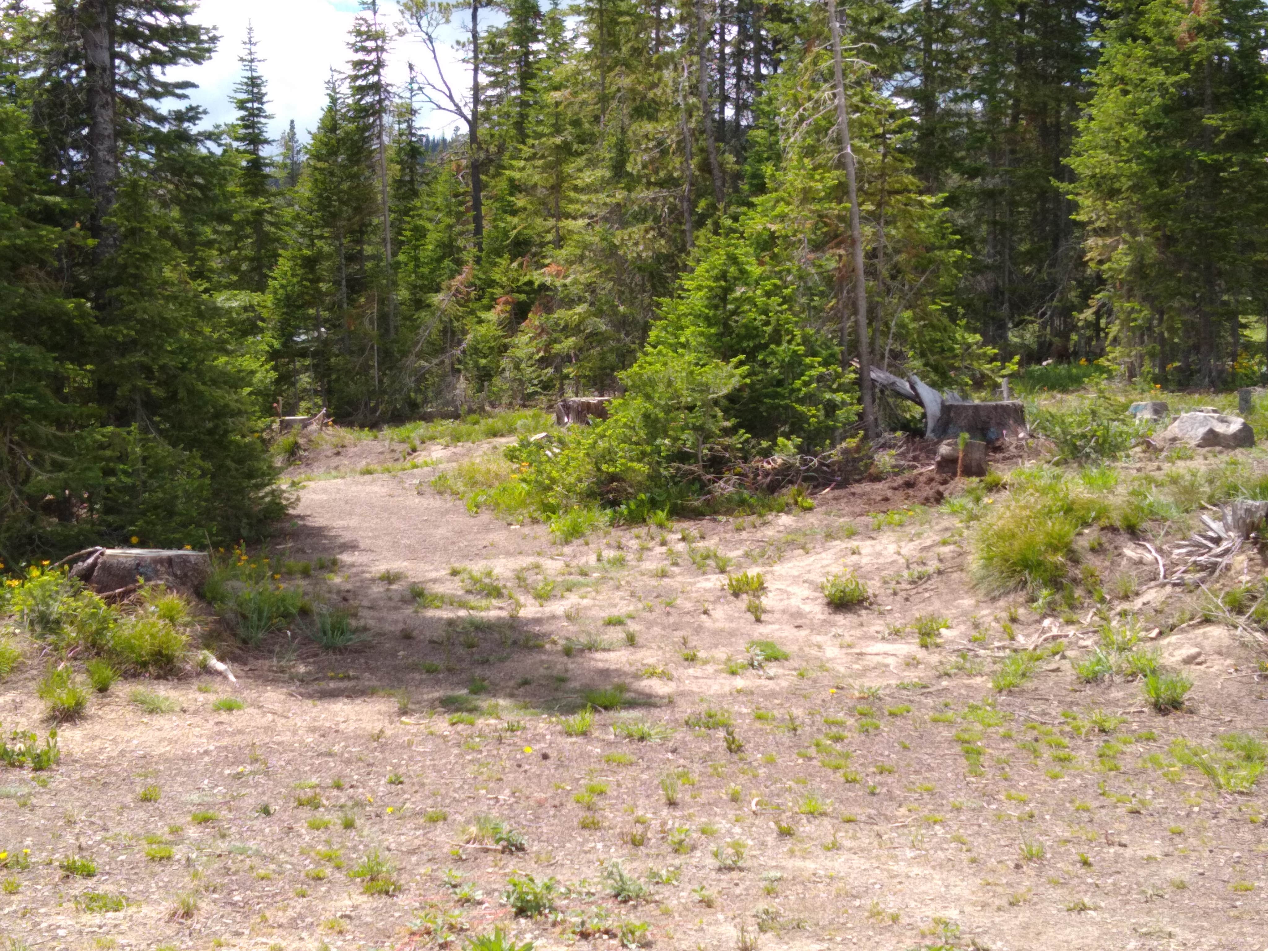 Camper-submitted photo at Kings Hill Campground near Hobson, MT