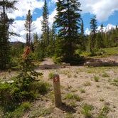 Review photo of Kings Hill Campground by Dexter I., July 10, 2021