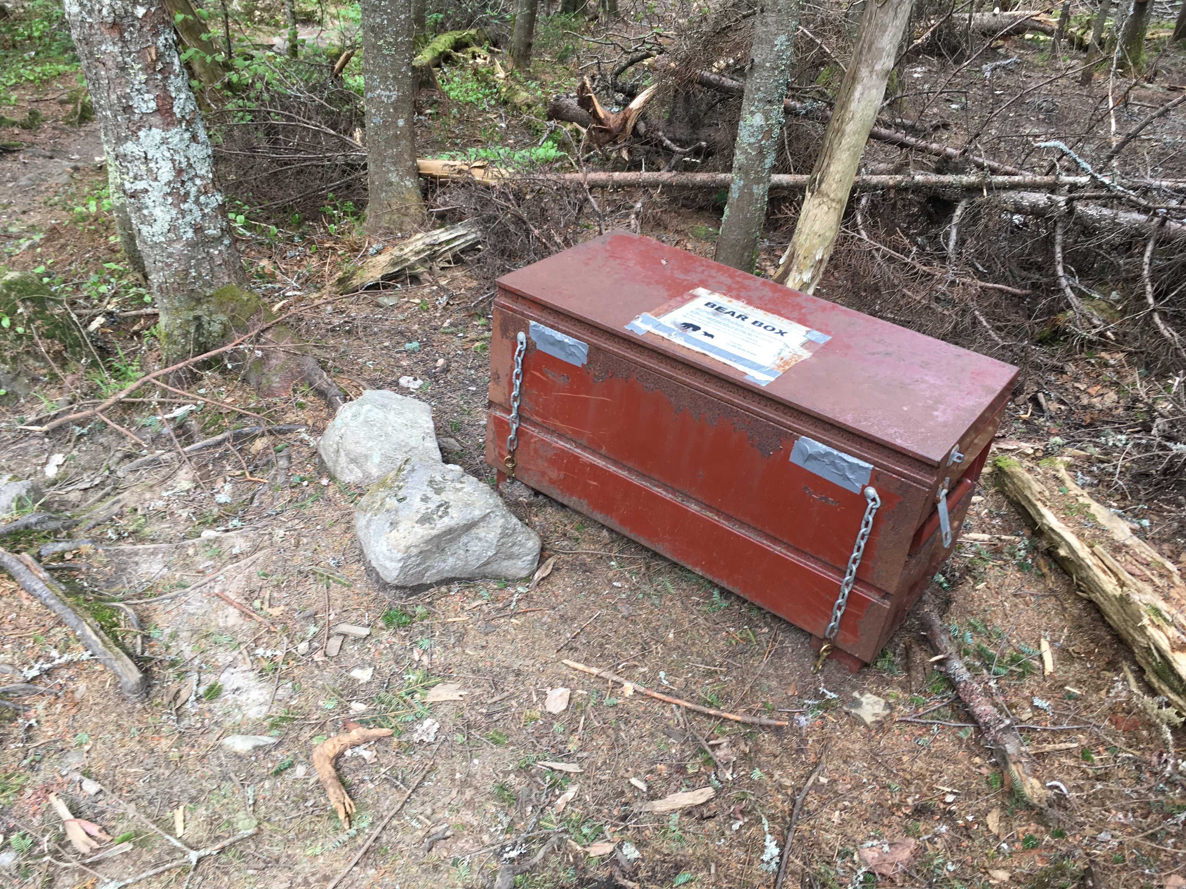 Rusting old bear box