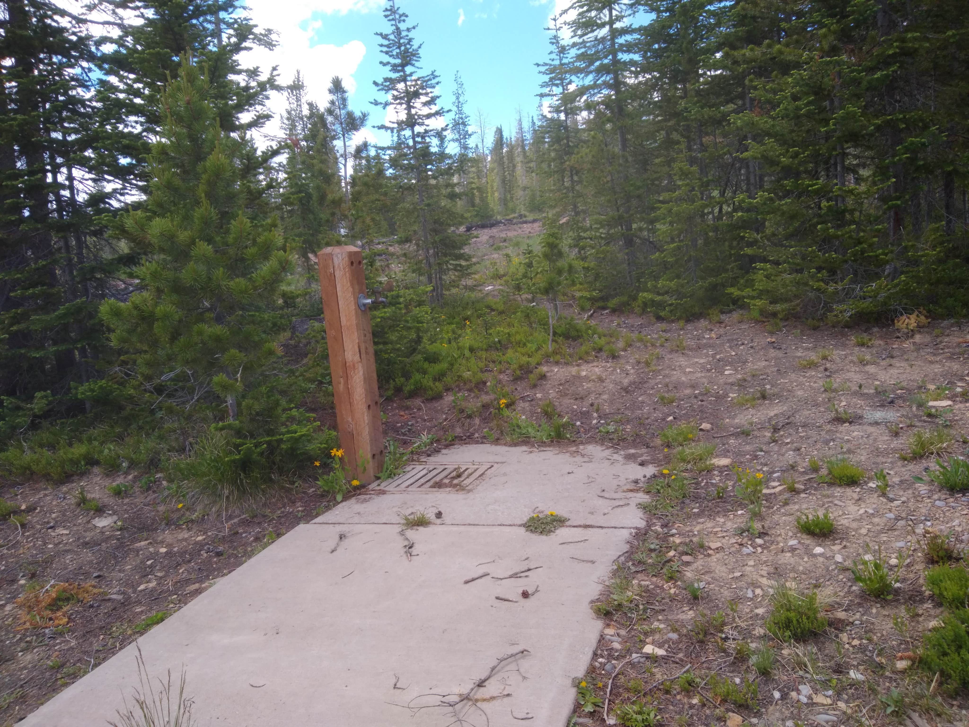 Camper submitted image from Kings Hill Campground - 5