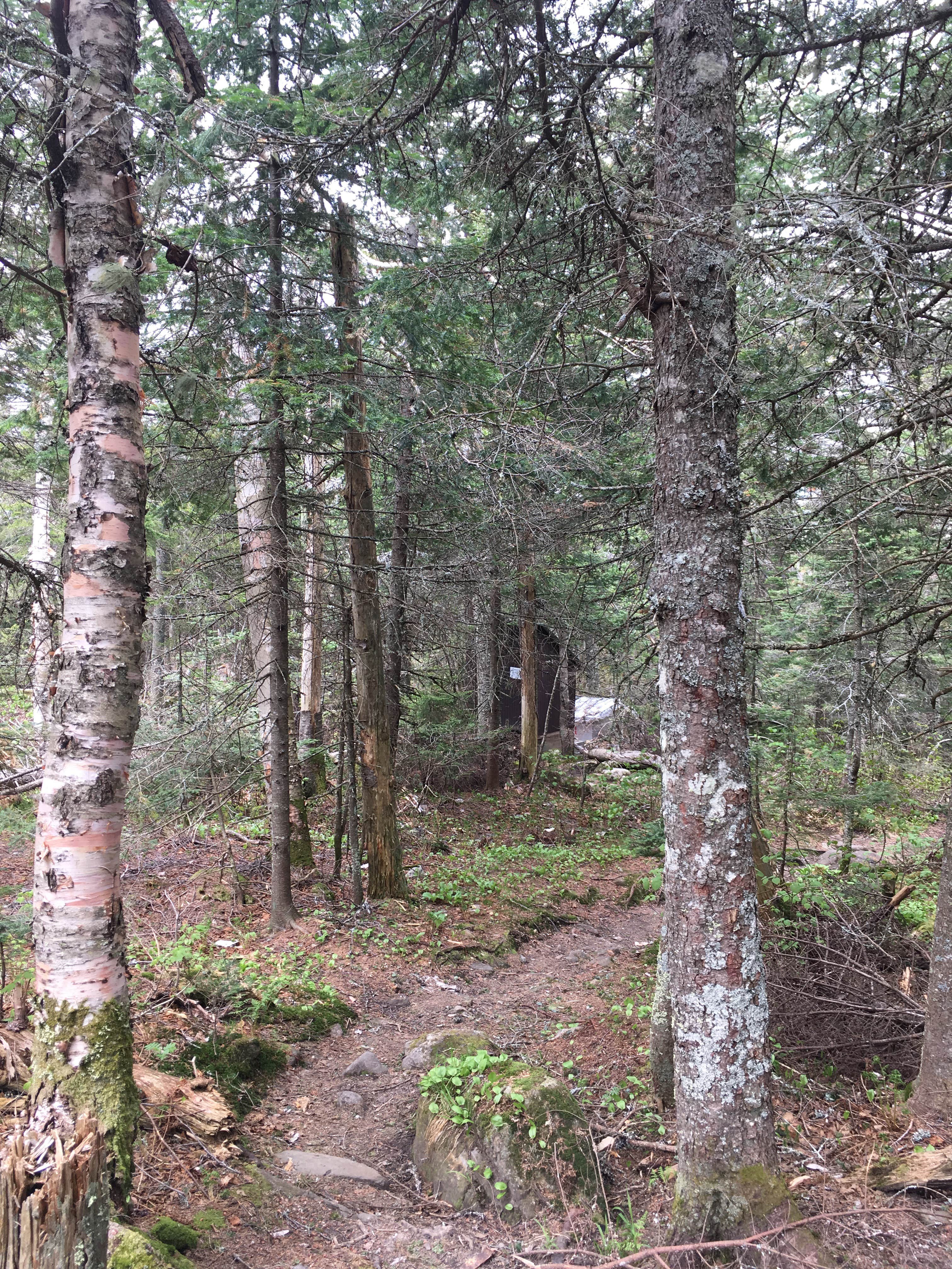 Camping near Stony Brook Recreation and Campground: Carlo Col — Mahoosucs Ecological Reserve, Gilead, Maine