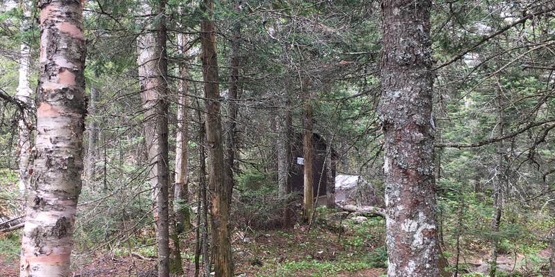 Camper submitted image from Carlo Col — Mahoosucs Ecological Reserve