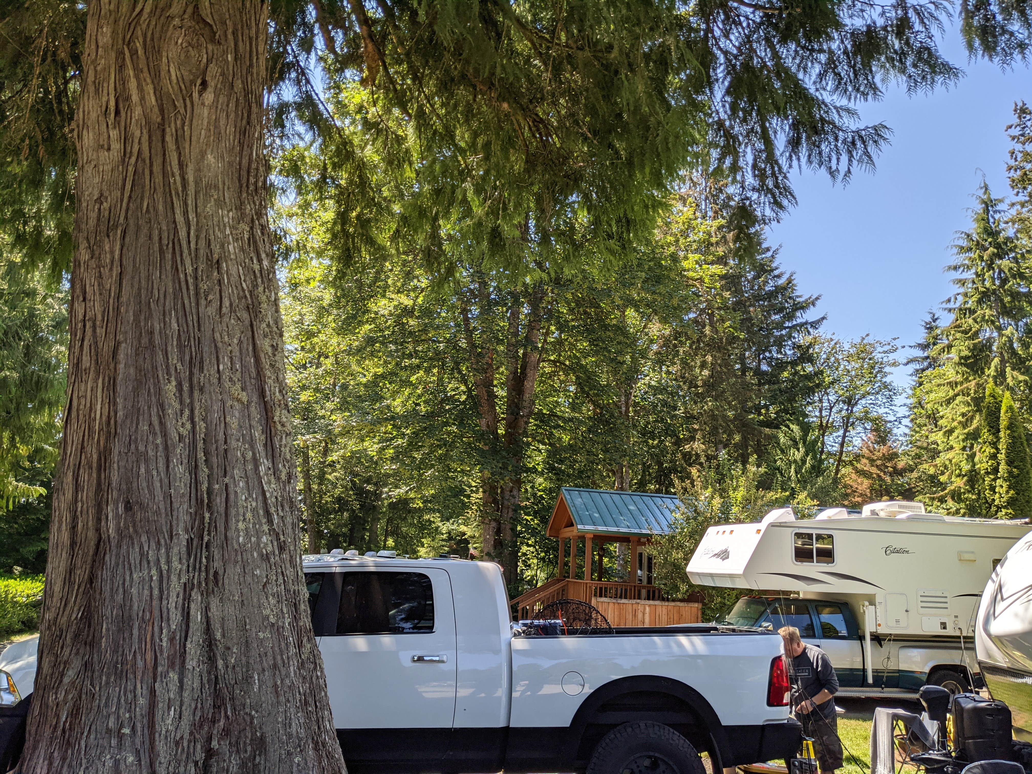 Camper-submitted photo at Harmony Lakeside RV Park near Mossyrock, WA
