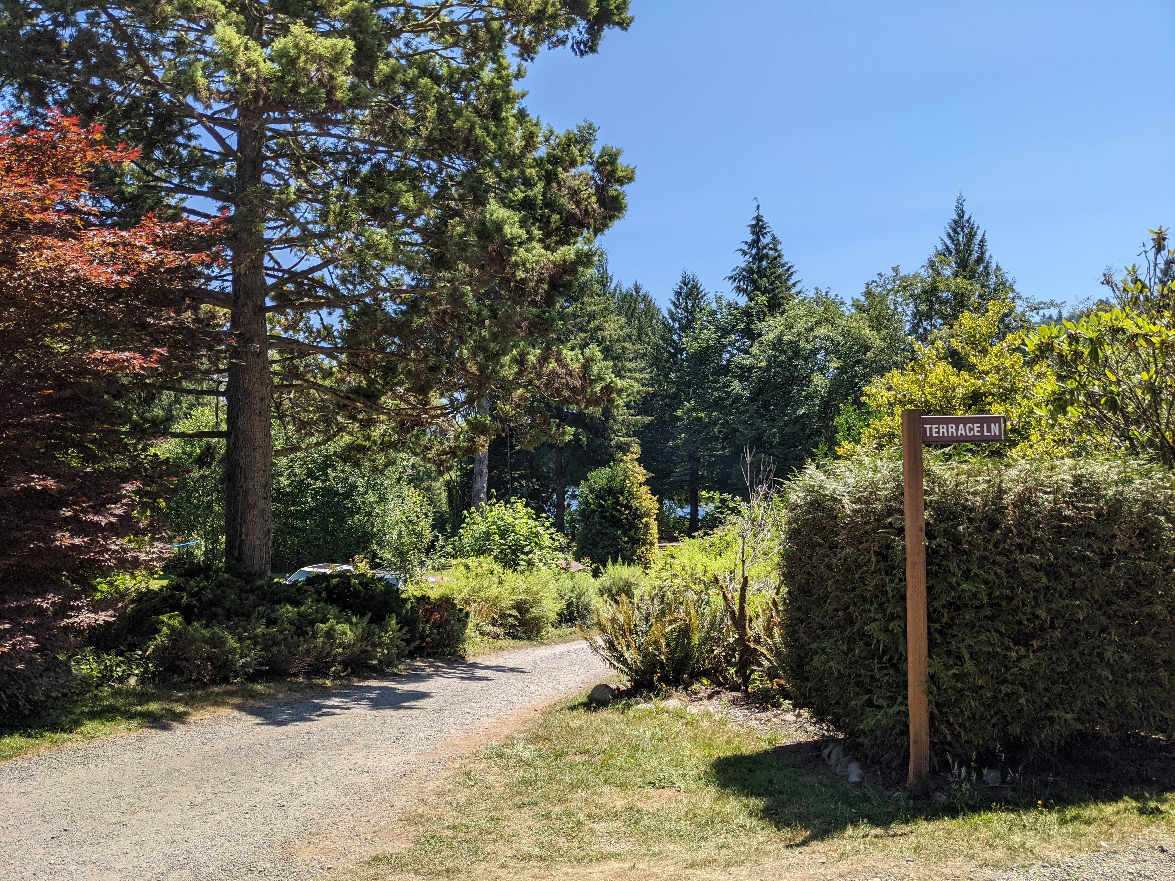 Camper-submitted photo at Harmony Lakeside RV Park near Mossyrock, WA