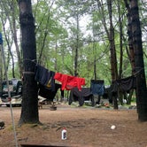 Review photo of Beach Camping Area by Katie R., July 10, 2021