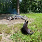Review photo of Green Ridge State Forest by Jacqueline F., July 10, 2021