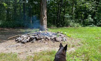 Jacqueline F.'s photo of camping with pets at Green Ridge State Forest near Cumberland, MD