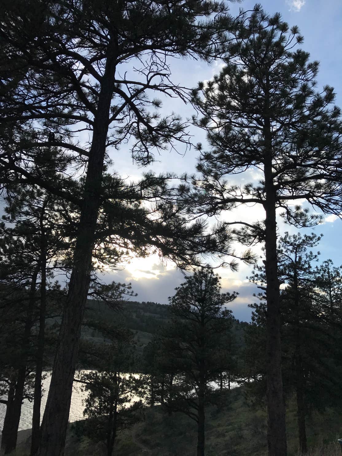 Pinewood Lake The Dyrt