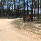 Review photo of Sand Pond Campground - Pine Log State Forest by Dale W., July 10, 2021