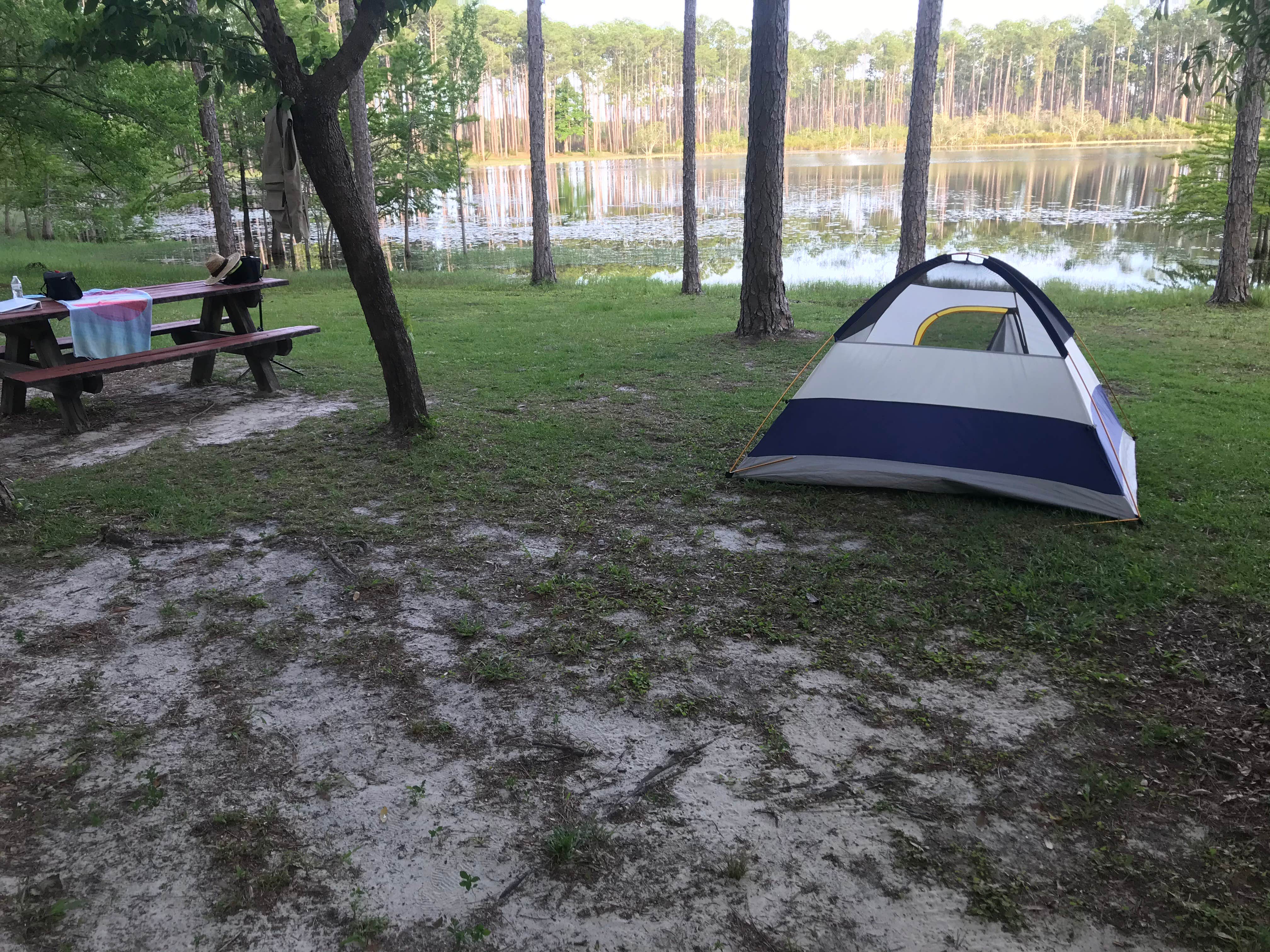 Dale W.'s photo at Sand Pond Campground — Pine Log State Forest near DeFuniak Springs, FL
