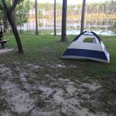 Review photo of Sand Pond Campground - Pine Log State Forest by Dale W., July 10, 2021
