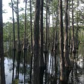 Review photo of Sand Pond Campground - Pine Log State Forest by Dale W., July 10, 2021