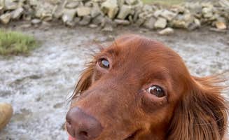 autumn L.'s photo of camping with pets at Thousand Trails Virginia Landing near Cheriton, VA