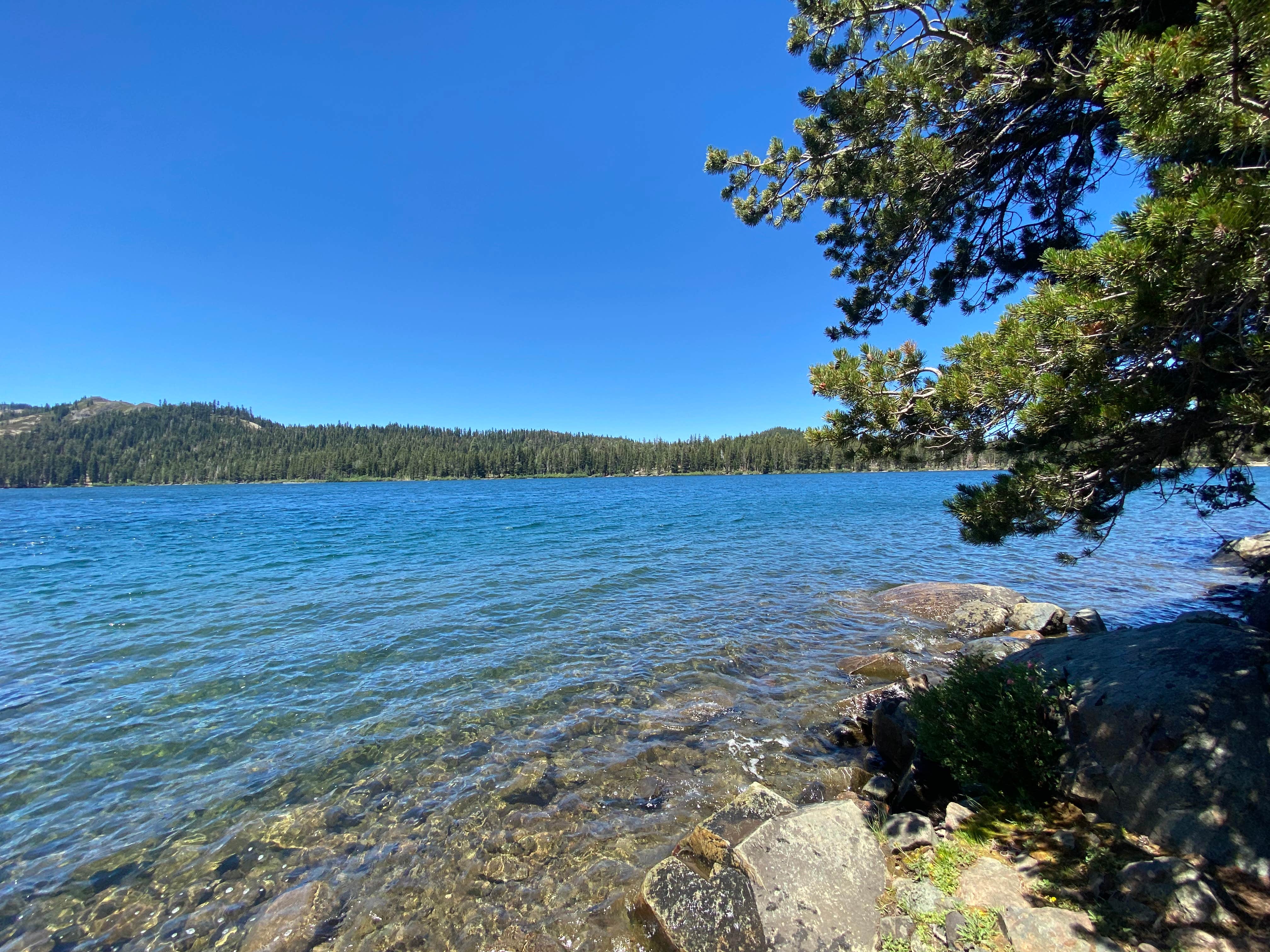 Camper-submitted photo at Little Bear RV Park near Calpine, CA