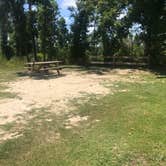 Review photo of Torreya State Park Campground by Dale W., July 11, 2021