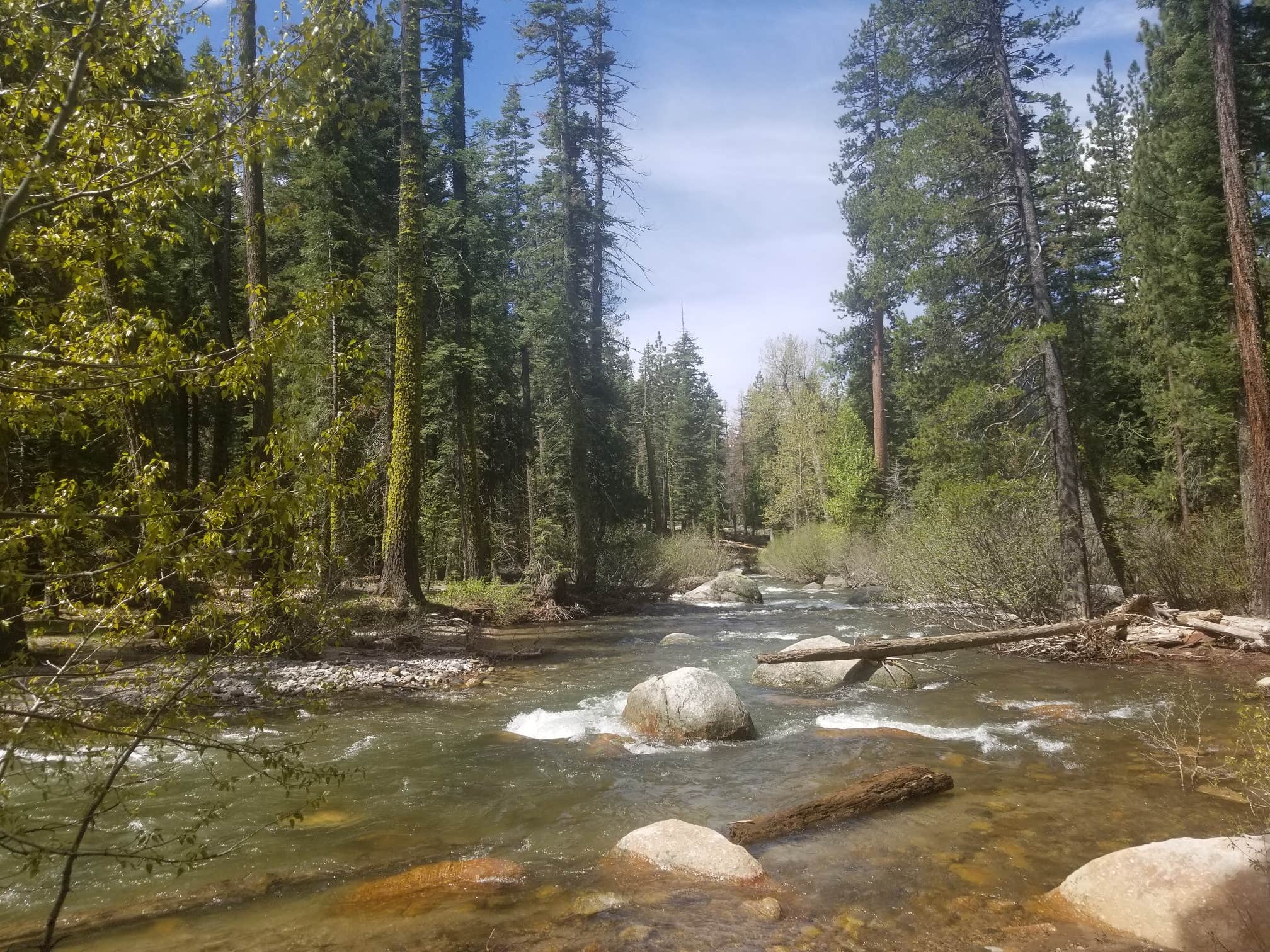 Escape to Sand Flat: Your Northern California Campground Adventure