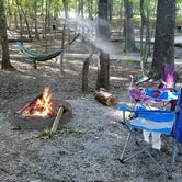 Review photo of Fall Creek Falls State Park Campground by Dori S., June 14, 2018