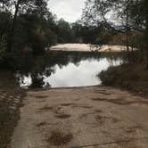 Review photo of Blackwater River State Park Campground by Dale W., July 11, 2021