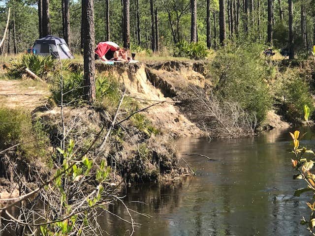 Dale W.'s photo at Blackwater River State Park Campground near Silver Springs, FL