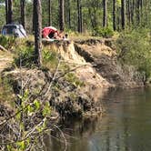 Review photo of Blackwater River State Park Campground by Dale W., July 11, 2021