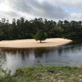Review photo of Blackwater River State Park Campground by Dale W., July 11, 2021