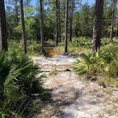 Review photo of Blackwater River State Park Campground by Dale W., July 11, 2021