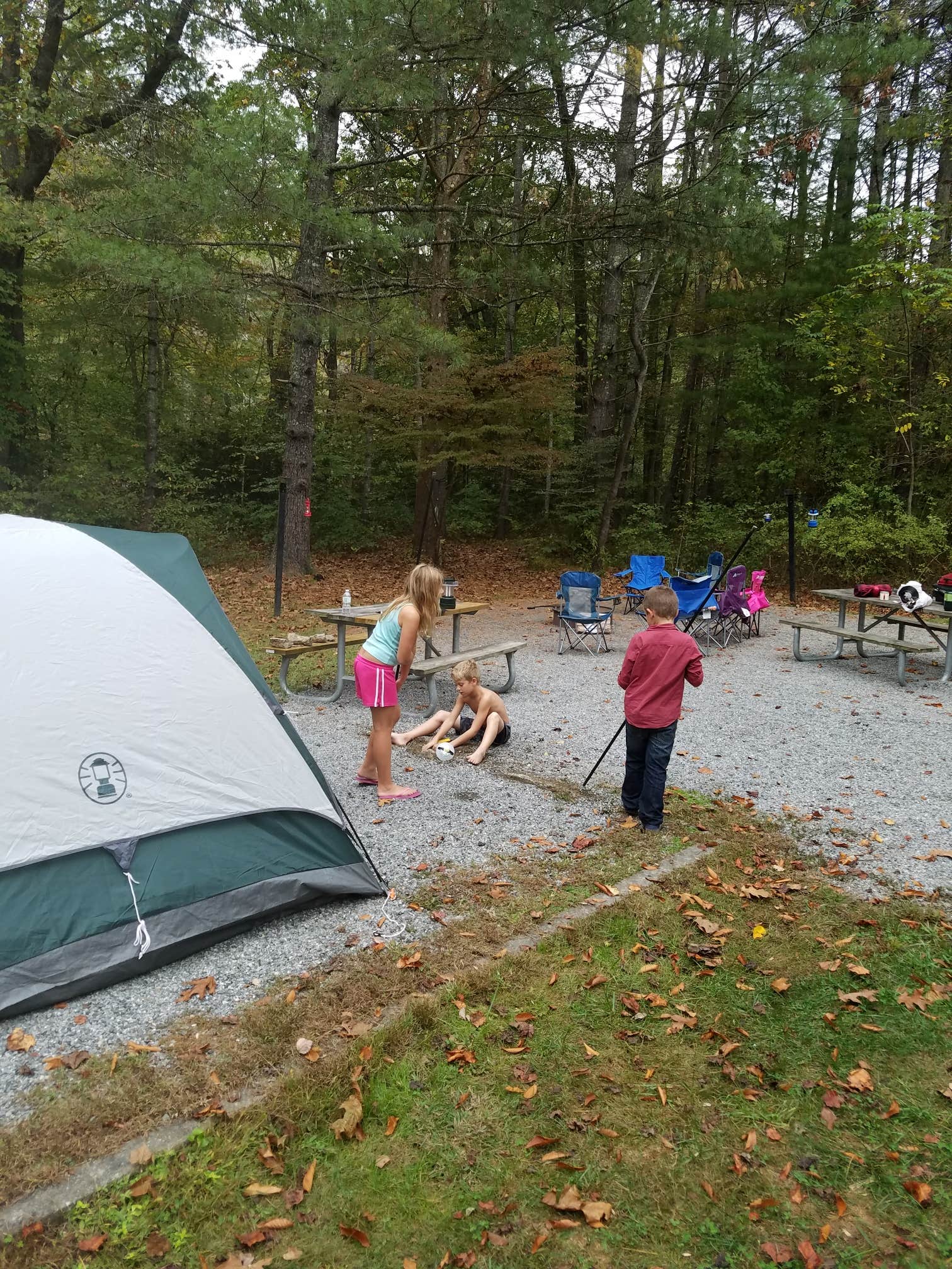 Dori S.'s photo at Davidson River Campground near Mills River, NC