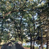 Review photo of Buckhorn Campground — Chickasaw National Recreation Area by Jasmine M., July 11, 2021