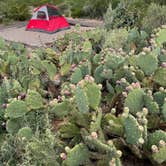 Review photo of Fort Stockton RV Park by Emily C., July 11, 2021