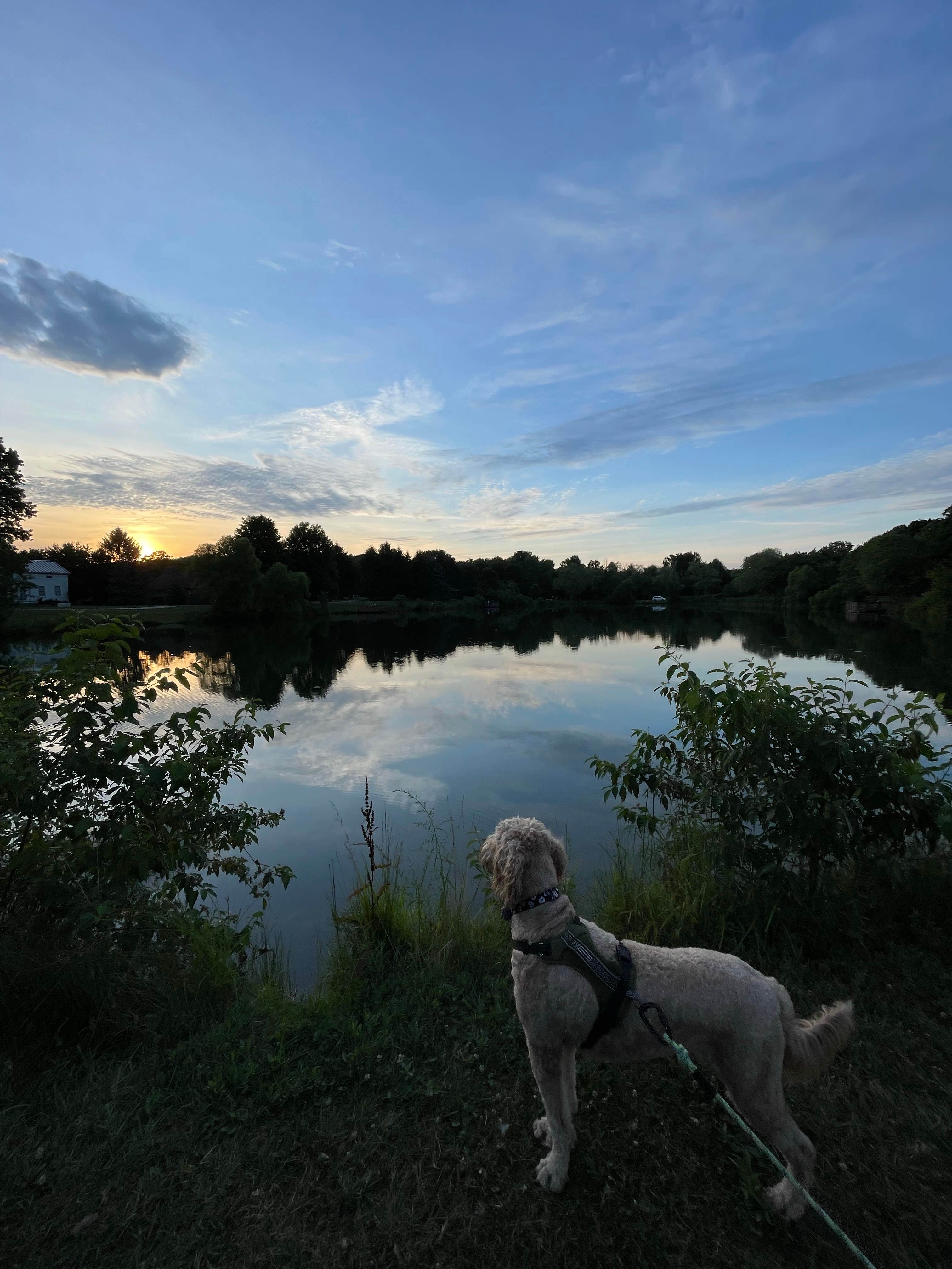 Camper submitted image from Silver Springs Campground - 4