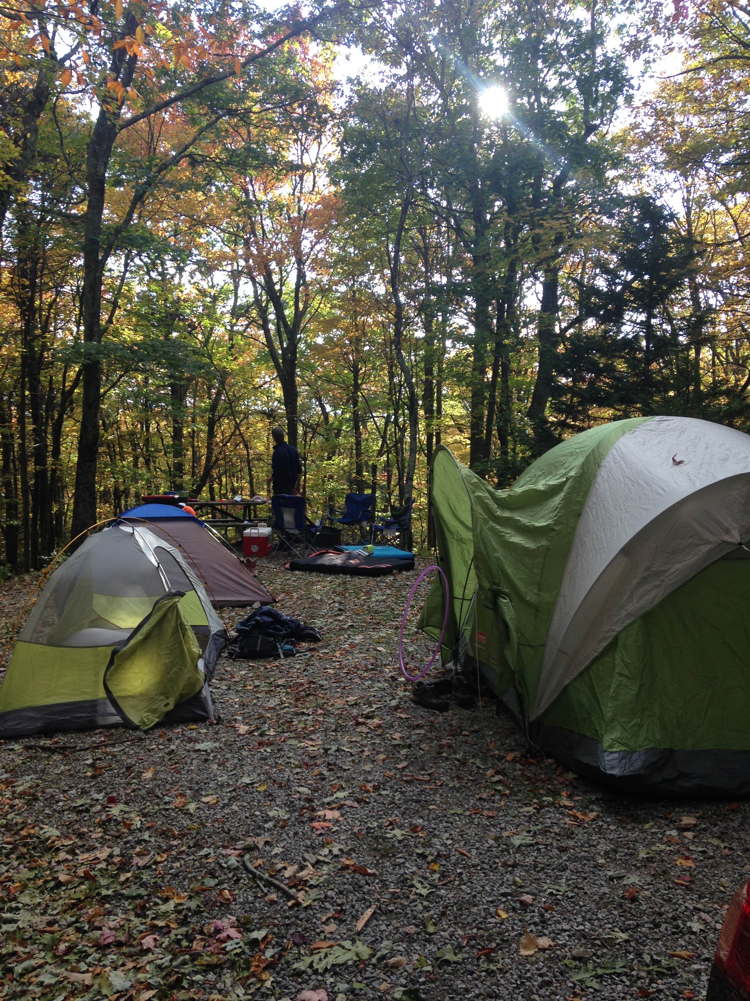 Kelly C.'s photo at Chestnut Hollow Horse Campground — Grayson Highlands State Park near Whitetop, VA