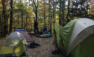 Kelly C.'s photo at Chestnut Hollow Horse Campground — Grayson Highlands State Park near Troutdale, VA