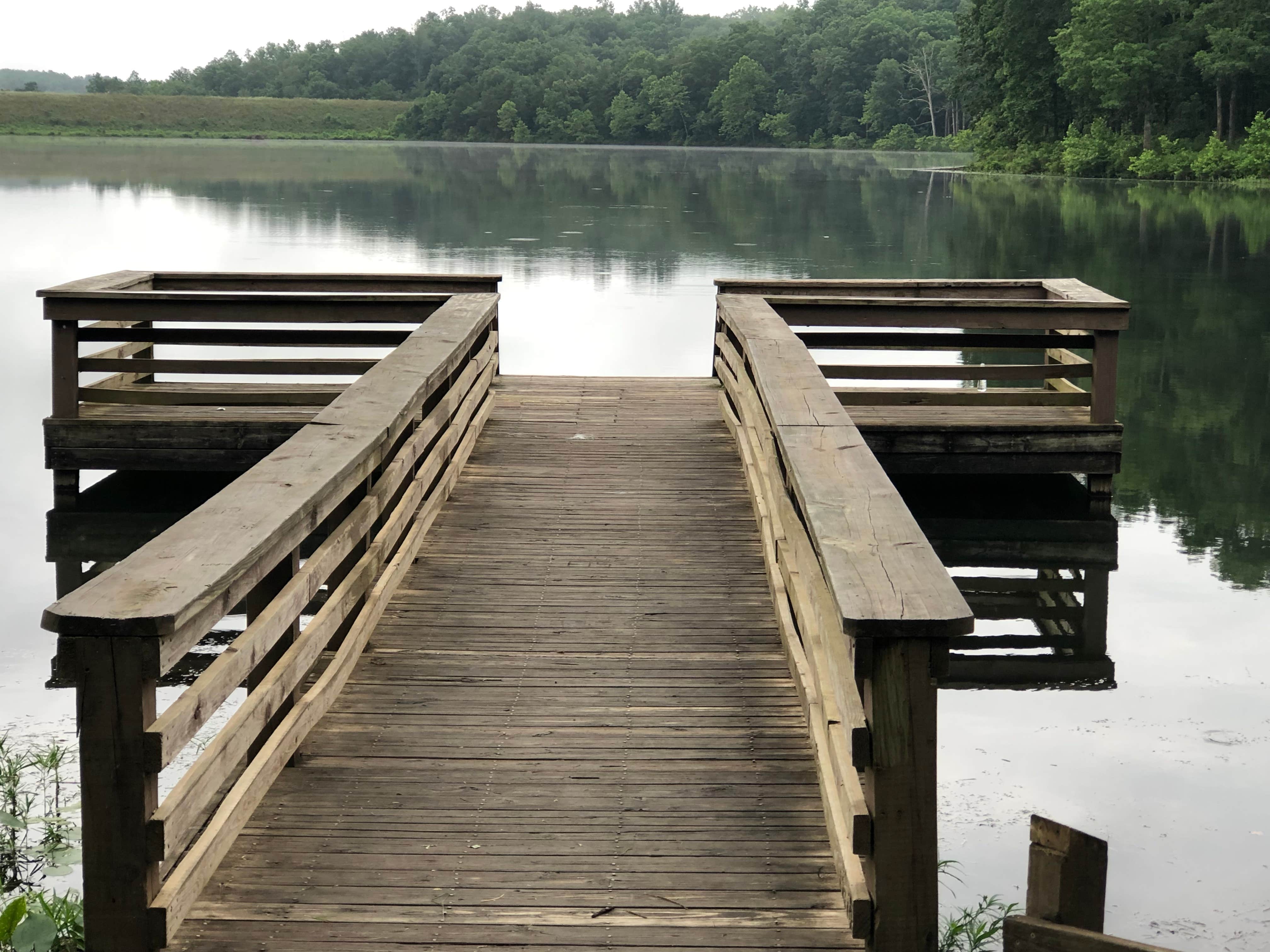 Camper submitted image from Fourche Lake Rec Area - 5