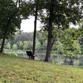 Review photo of Fourche Lake Rec Area by N I., July 11, 2021