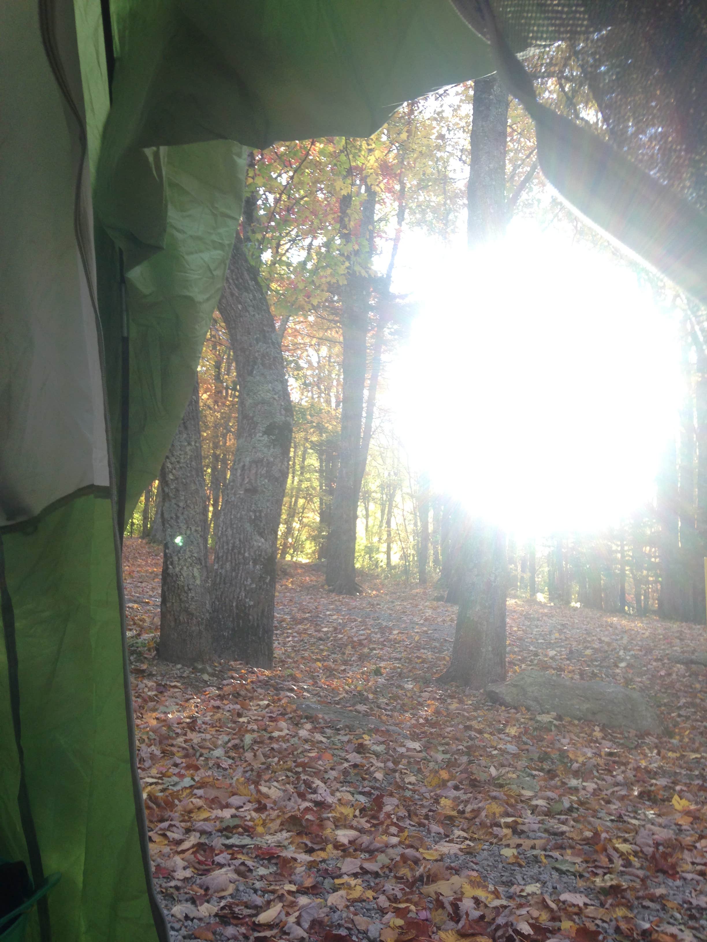 Kelly C.'s photo at Chestnut Hollow Horse Campground — Grayson Highlands State Park near Crumpler, NC