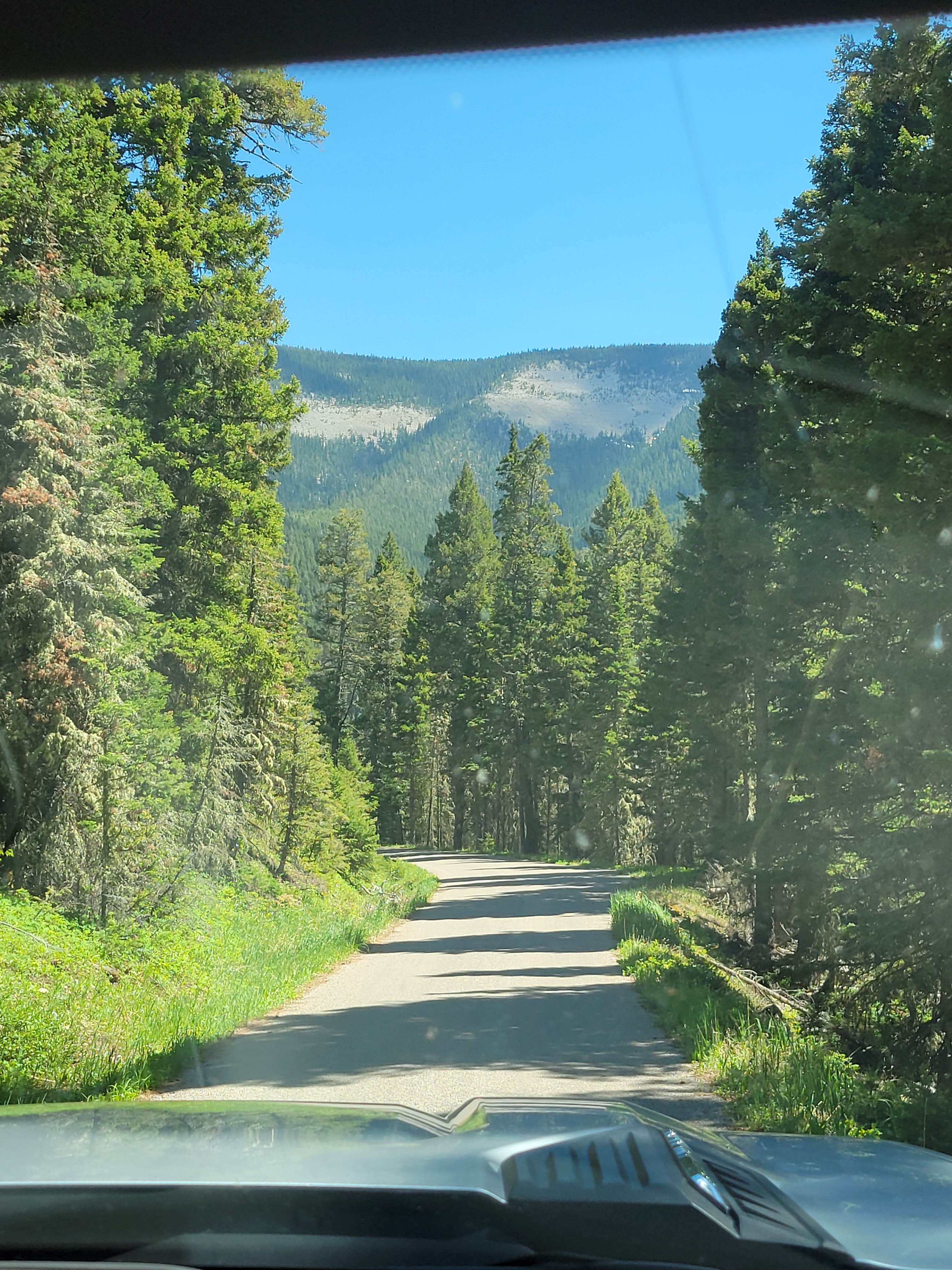 Camper-submitted photo at Crystal Lake Campground near Moore, MT