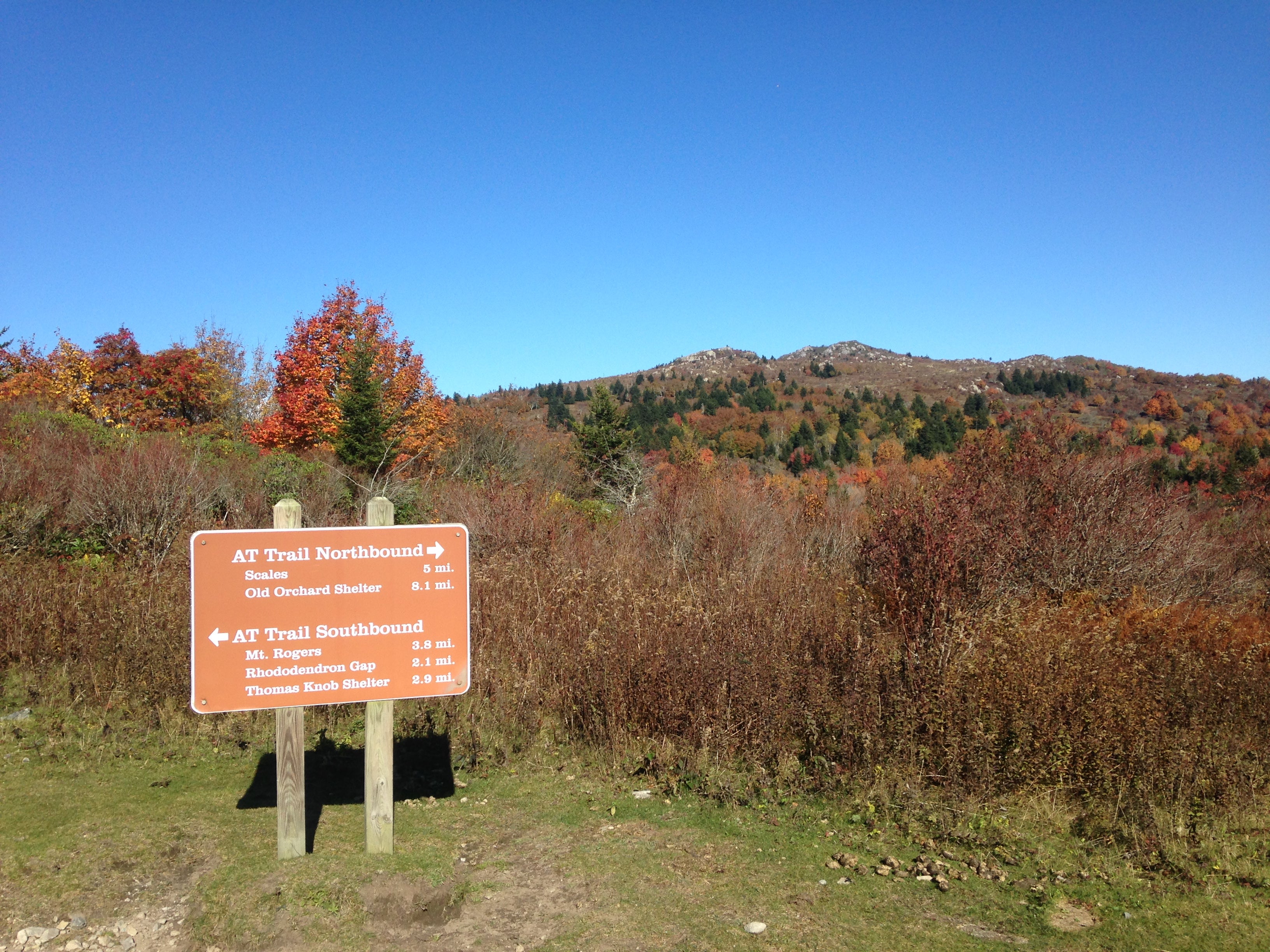 Camper submitted image from Chestnut Hollow Horse Campground — Grayson Highlands State Park - 3
