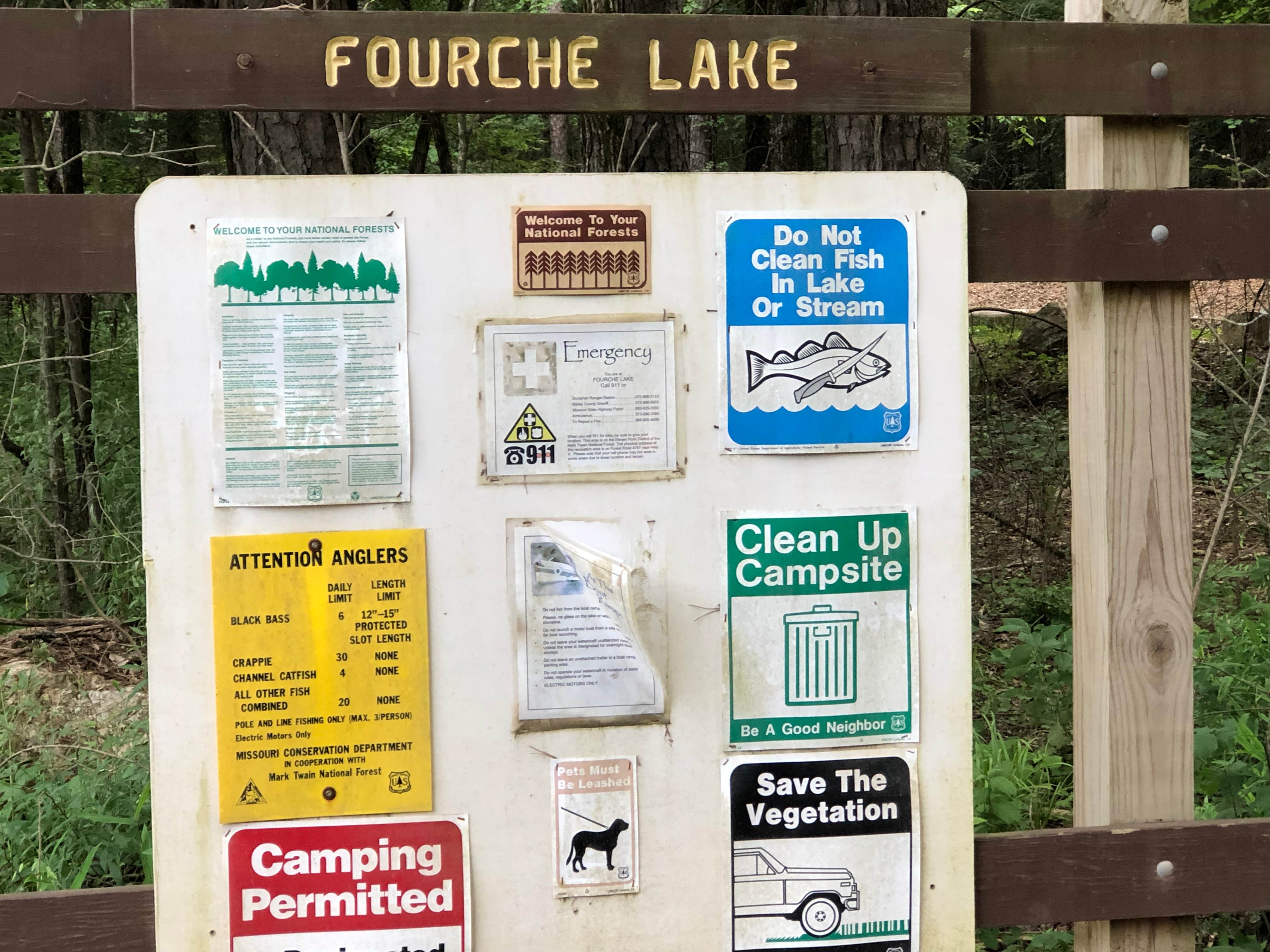Camper submitted image from Fourche Lake Rec Area - 4