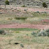 Review photo of Newlan Creek Reservoir by Jessica B., July 11, 2021