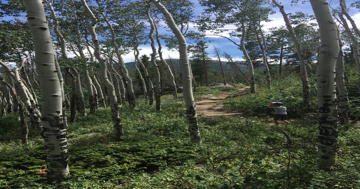 East Portal Campground at Estes Park