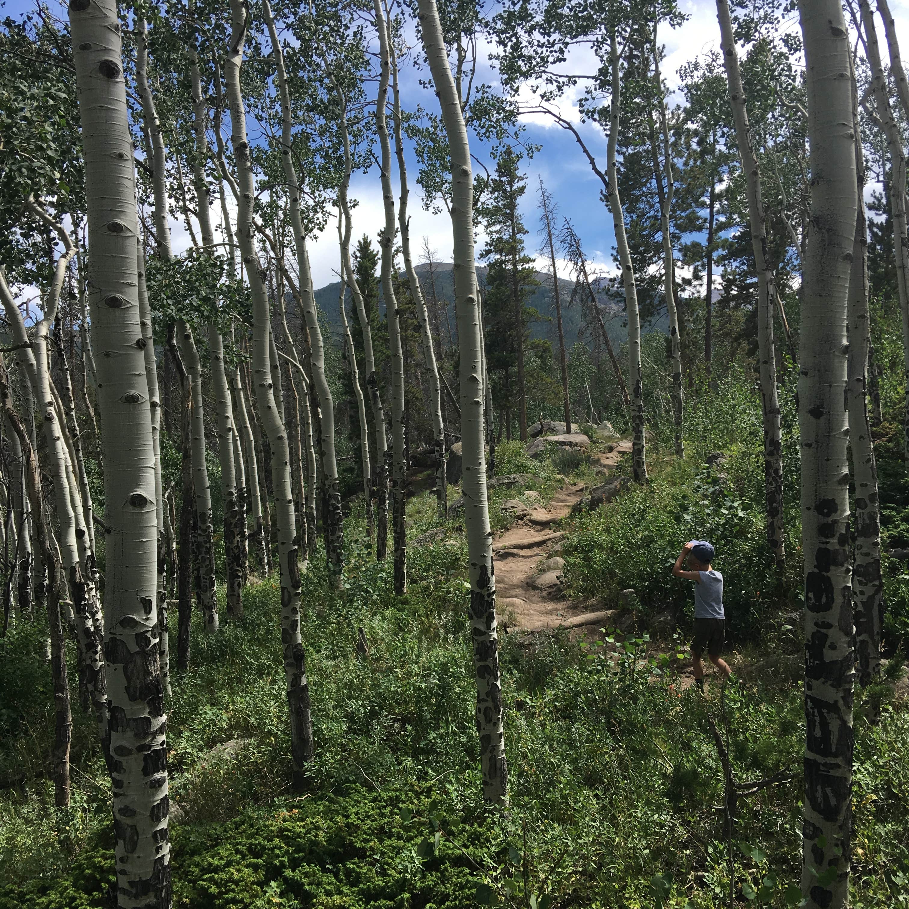 East Portal Campground at Estes Park