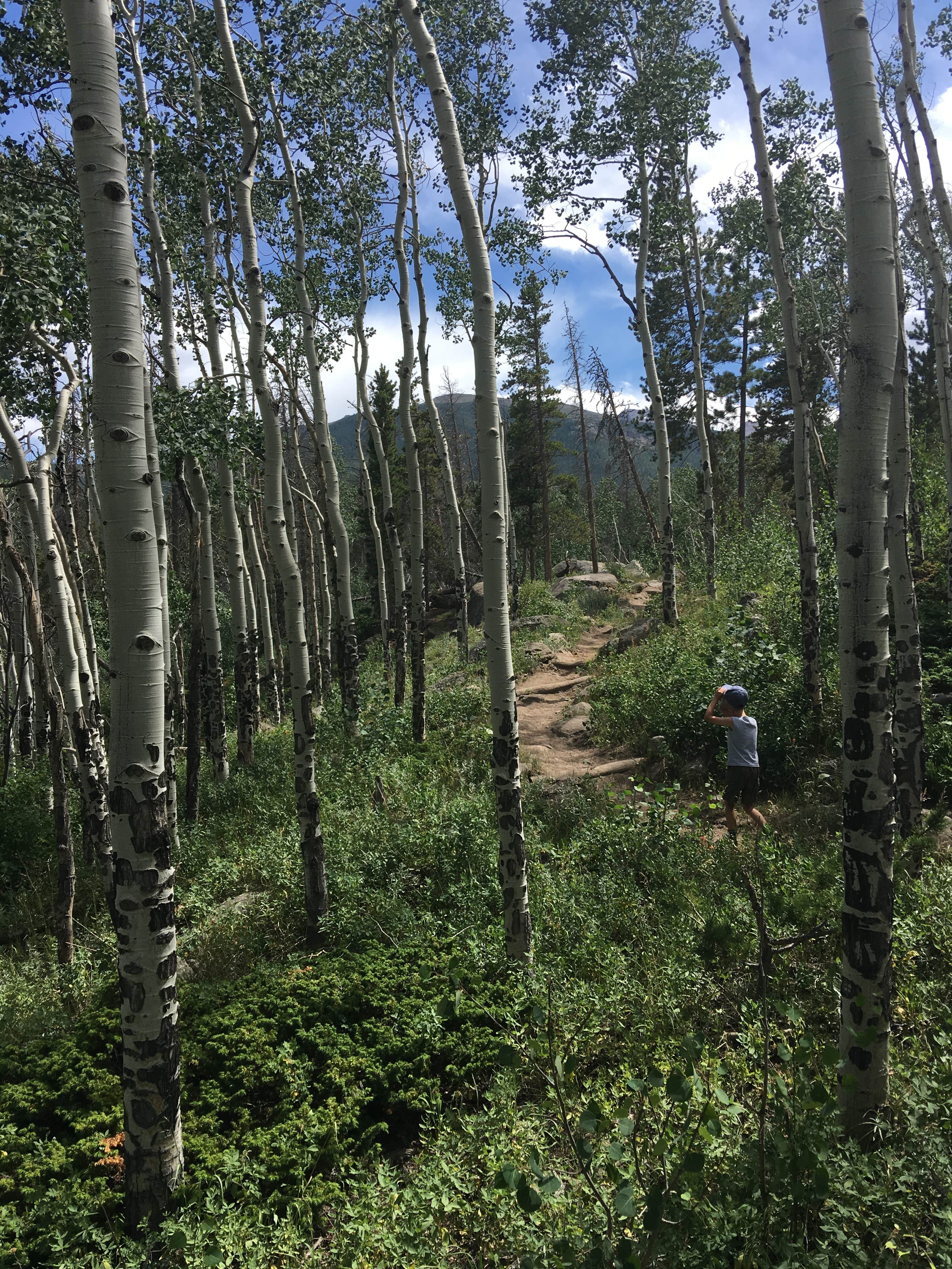 Camper submitted image from East Portal Campground at Estes Park - 1