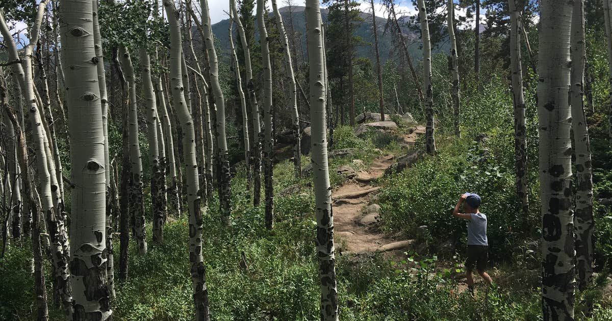 East Portal Campground at Estes Park
